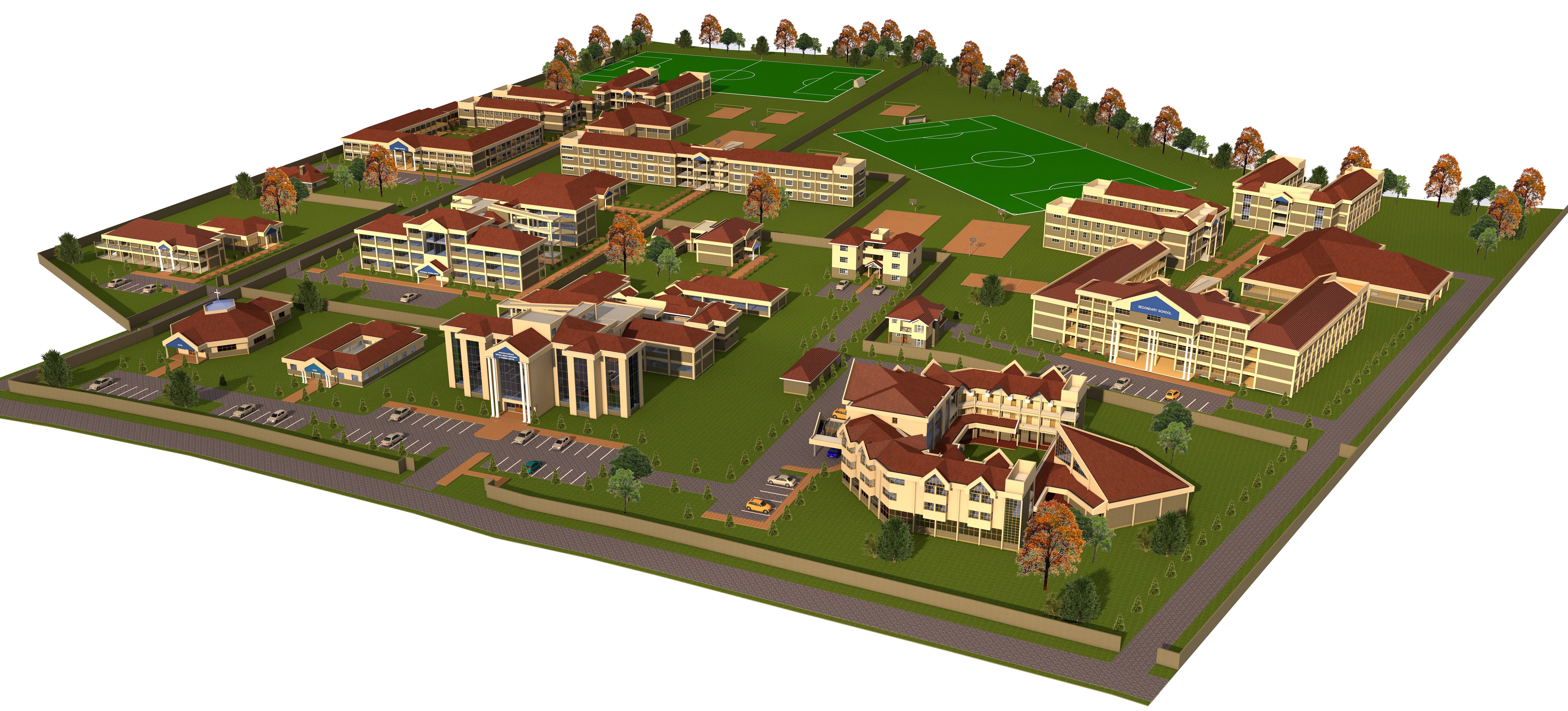 Portfolio Image